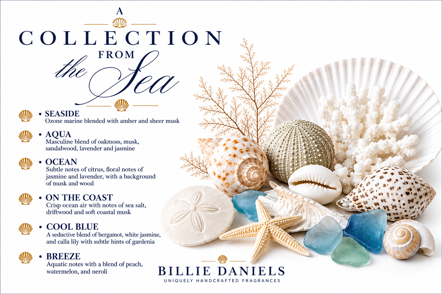 Seaside Collection